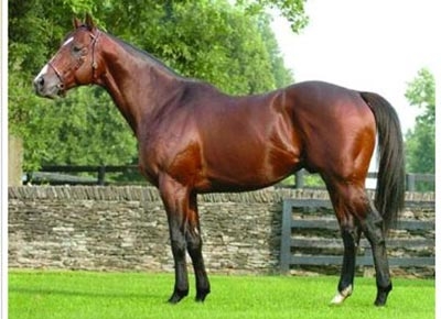 La lettre de FRANCE SIRE