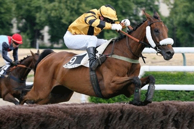 Rock'n Roll de Poligny