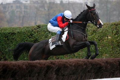 Thélèze à Auteuil
