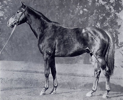 Fayriland II