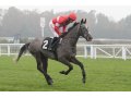 Arpège d'Alène 1ère victoire à Ascot