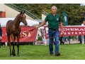 Jim de Sarti, au Show AQPS du Lion d'Angers 2019