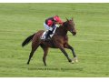 Concerto d'Allen, gagnante Prix René Couétil à Auteuil ( St 4 ans )