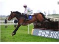 TOUCH THE EDEN (Malinas - Loika) gagnant le Hugh McMahon Memorial Chase GR. 2, 30.03.2014 Limerick (IRE)