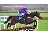 Saturnas, gagnant du Gr.1 Paddy Power Future Champions Novice Hurdle à Leopardstown