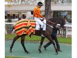Une destiné, Prix Jean Sens à Auteuil