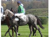 Une des sources, Prix Samaritain à Auteuil