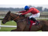 Envoi Allen 0 Fairyhouse (GI)