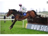 TOUCH THE EDEN (Malinas - Loika) gagnant le Hugh McMahon Memorial Chase GR. 2, 30.03.2014 Limerick (IRE)