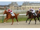 Qatar Bolt à Chantilly