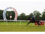Nicolas Landon, lauréat de la course des veneurs, au Point To Point de Château-Gontier en 2019